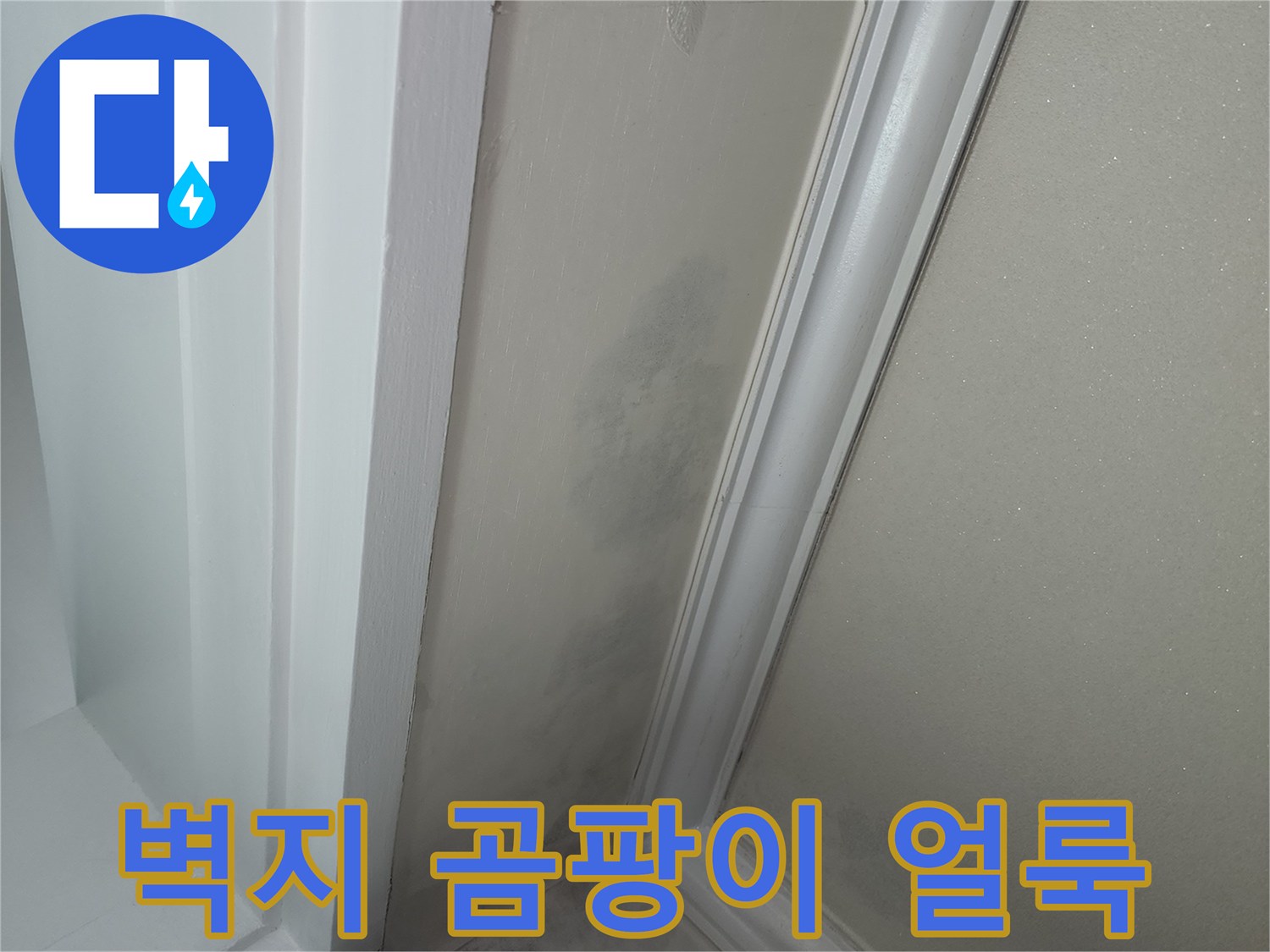 벽지 표면에 나타난 짙은 곰팡이와 습기 흔적