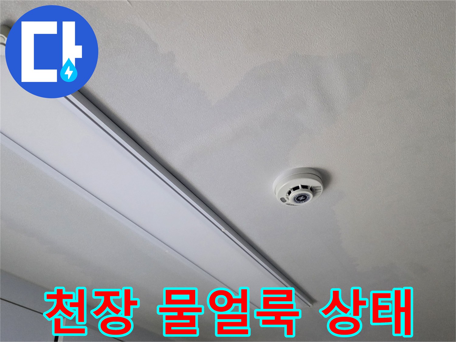 남양주 별내동-상가주식 천장 물얼룩과 곰팡이 현황