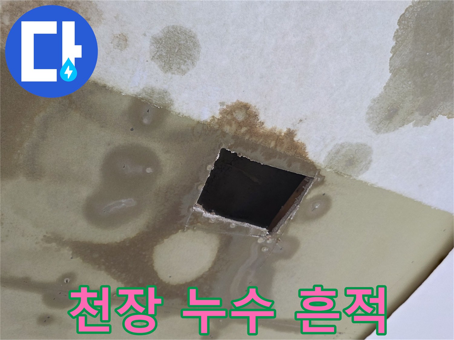 물샘으로 인해 얼룩진 천장의 모습입니다.