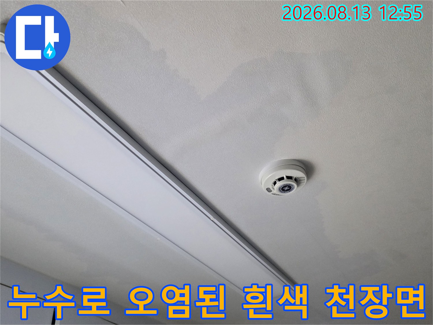 천장의 조명과 감지기 주변으로 넓게 형성된 누수 피해로 인한 변색 구역