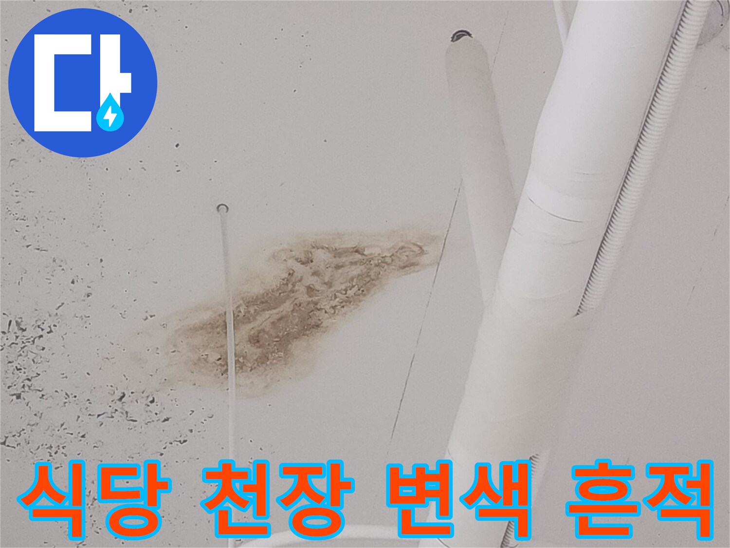고양시 덕양구-식당 아래층 천장에 발생한 갈색 물샘 흔적과 습기 상태