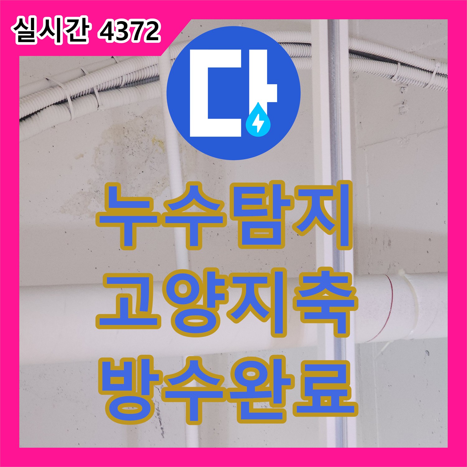 누수탐지전문 식당 주방의 방수 결함으로 발생한 아랫층 천장 누수를 정밀 진단하여 보수한 경기 고양시 덕양구 지축동