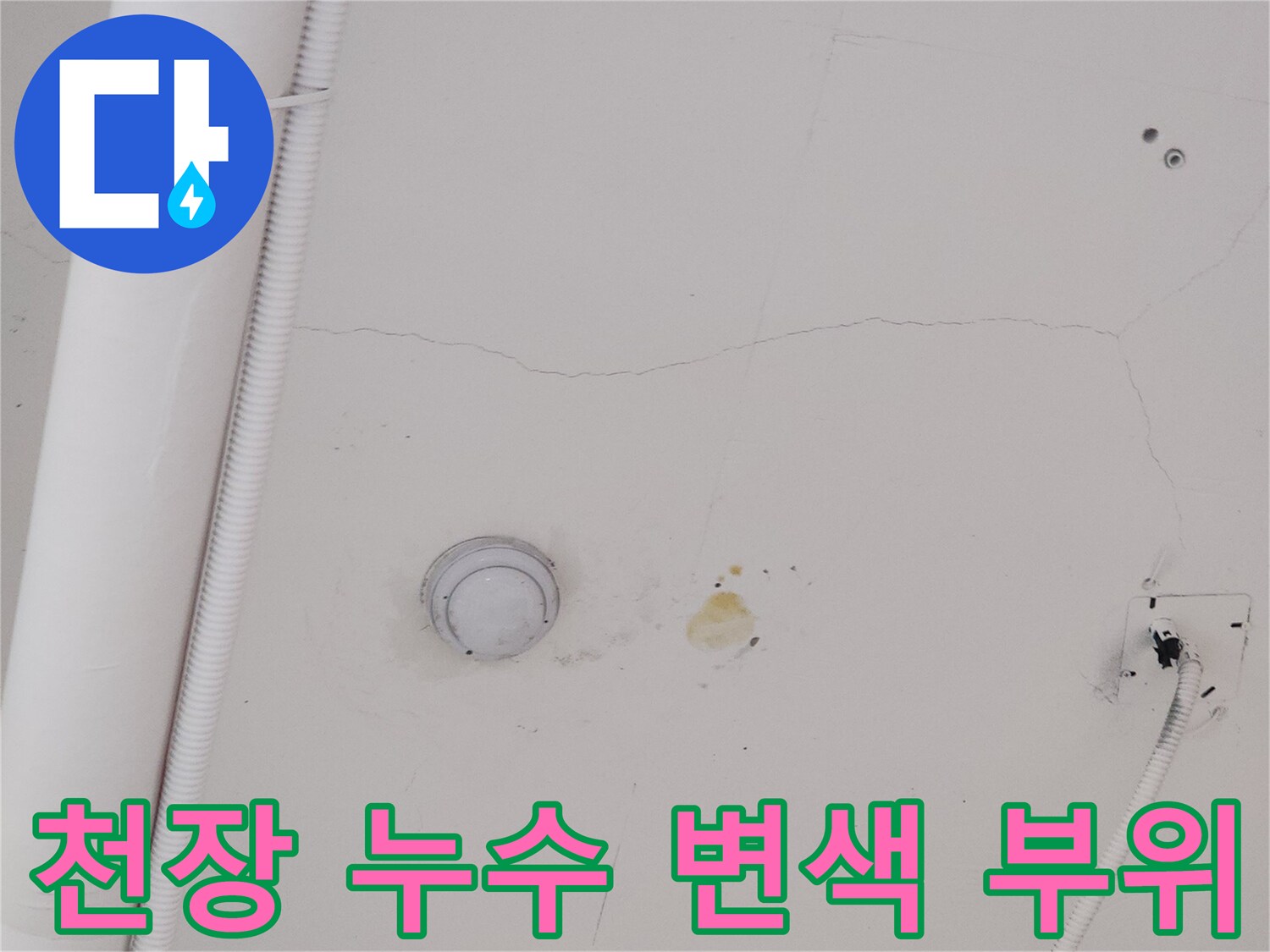 덕양구 식당-천장 누수 흔적과 얼룩 상태