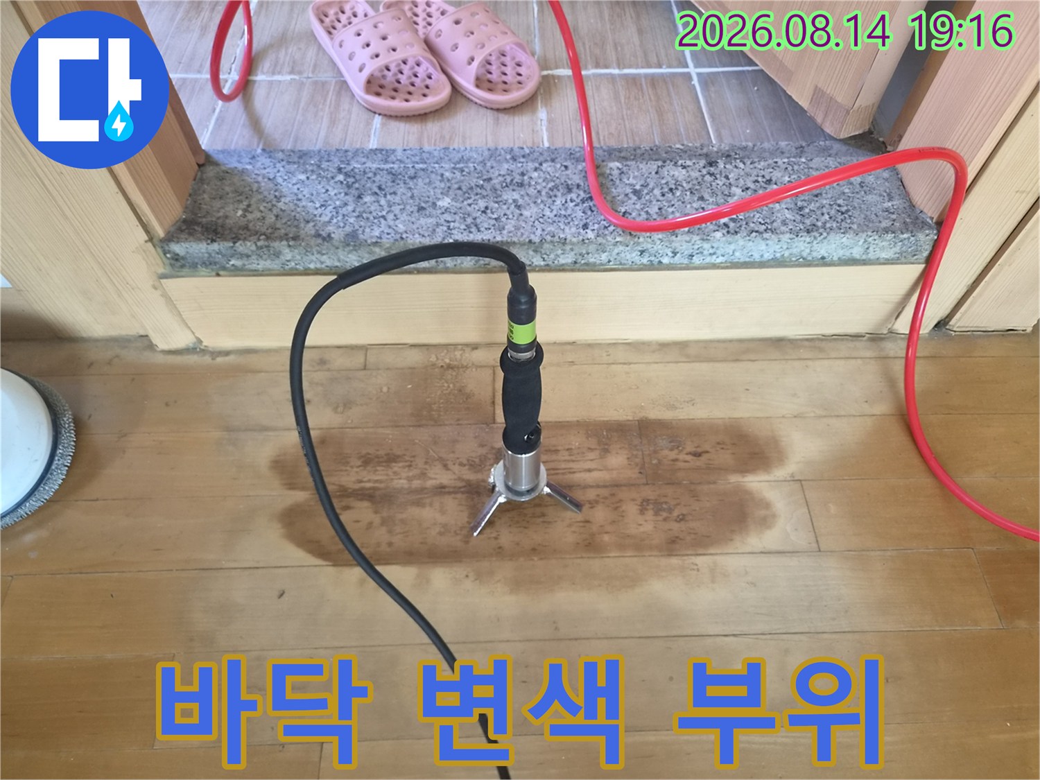 가스 탐지기를 사용하여 점검 중인 마루 변색 지점