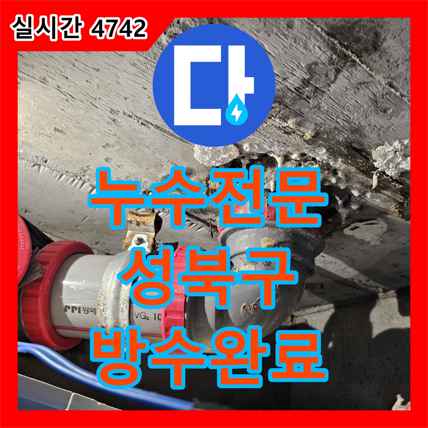 누수전문 화장실 천장 누수로 인해 거실까지 피해가 확산된 배관 결함을 해결한 서울 성북구 돈암동 현장