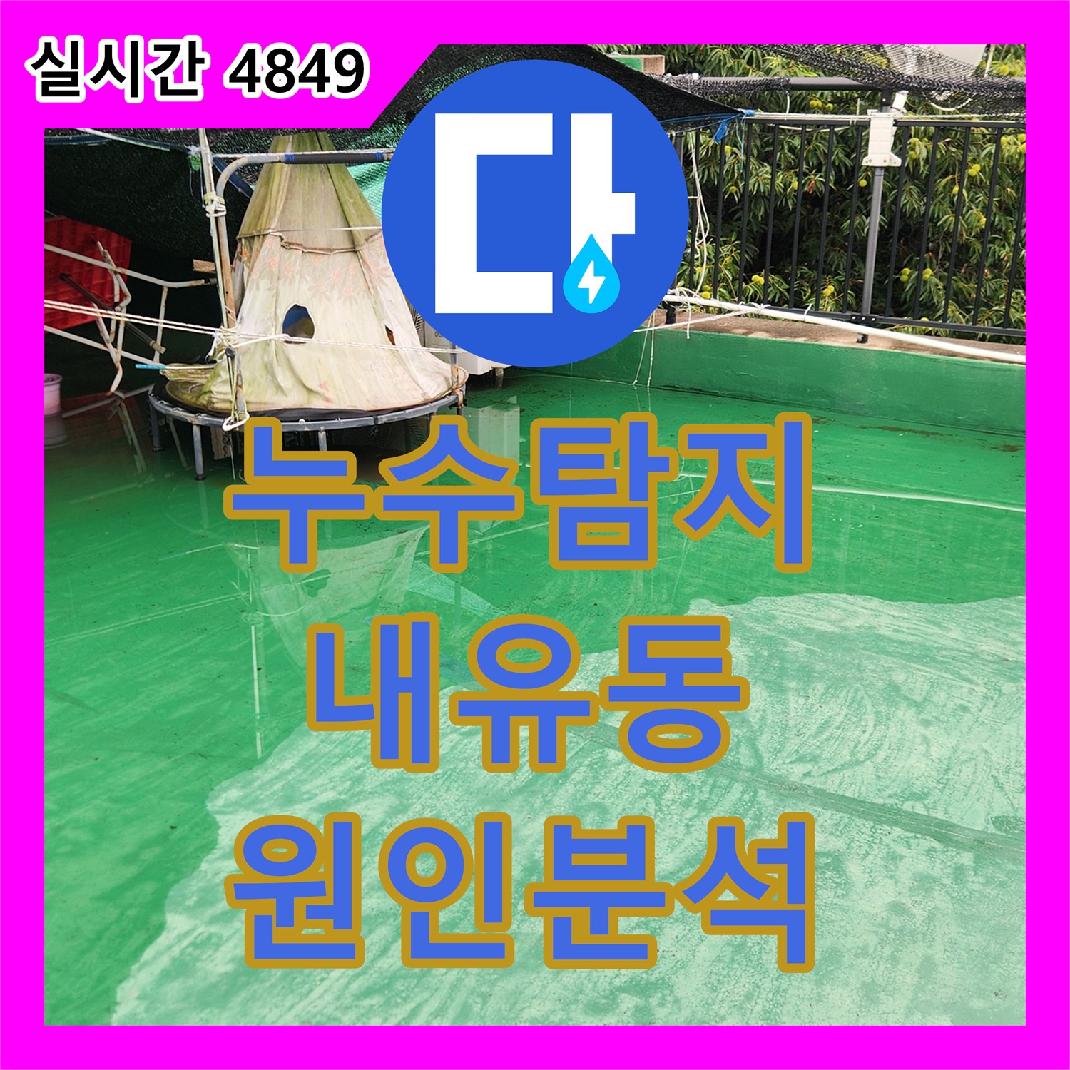 누수탐지 옥상 배수구 막힘과 아랫층 복도 벽면 누수 원인을 정밀하게 분석한 경기 고양시 덕양구 내유동 사례