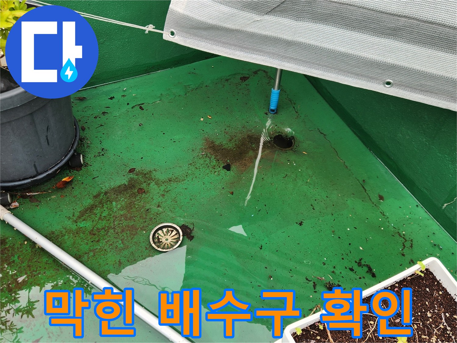 배수구 주변에 고인 빗물 - 원인 파악을 위한 현장 점검