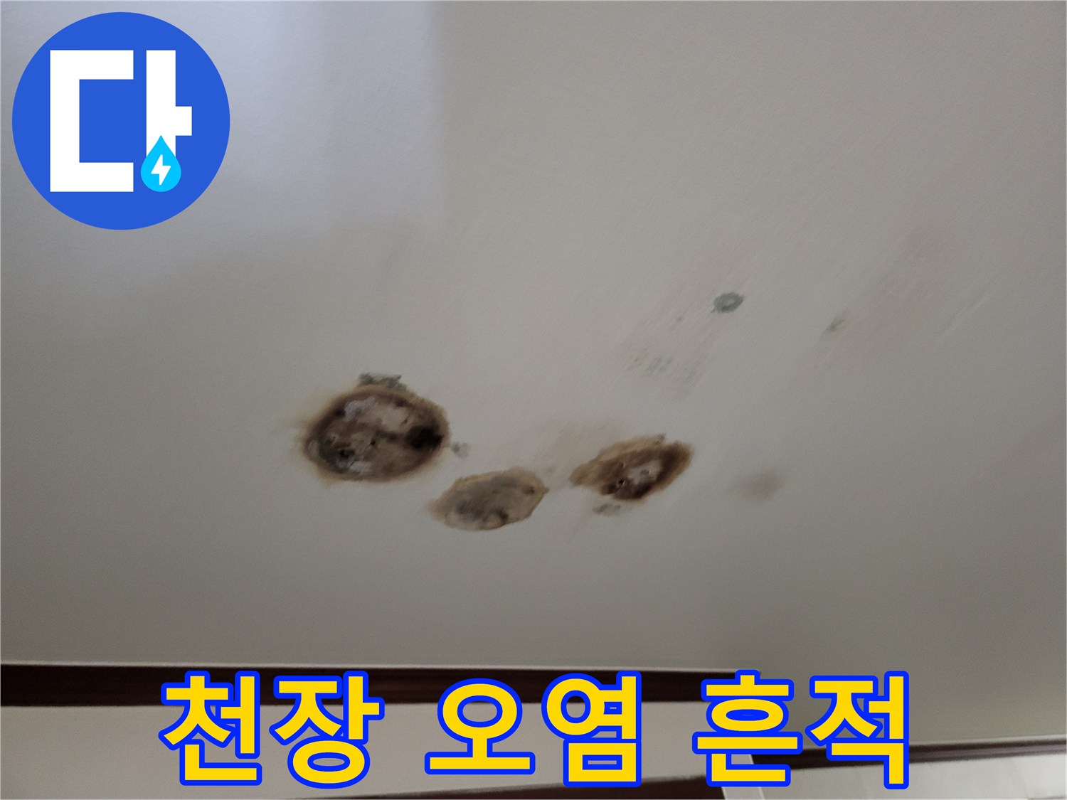 물기-스며든-천장의-얼룩진-부분
