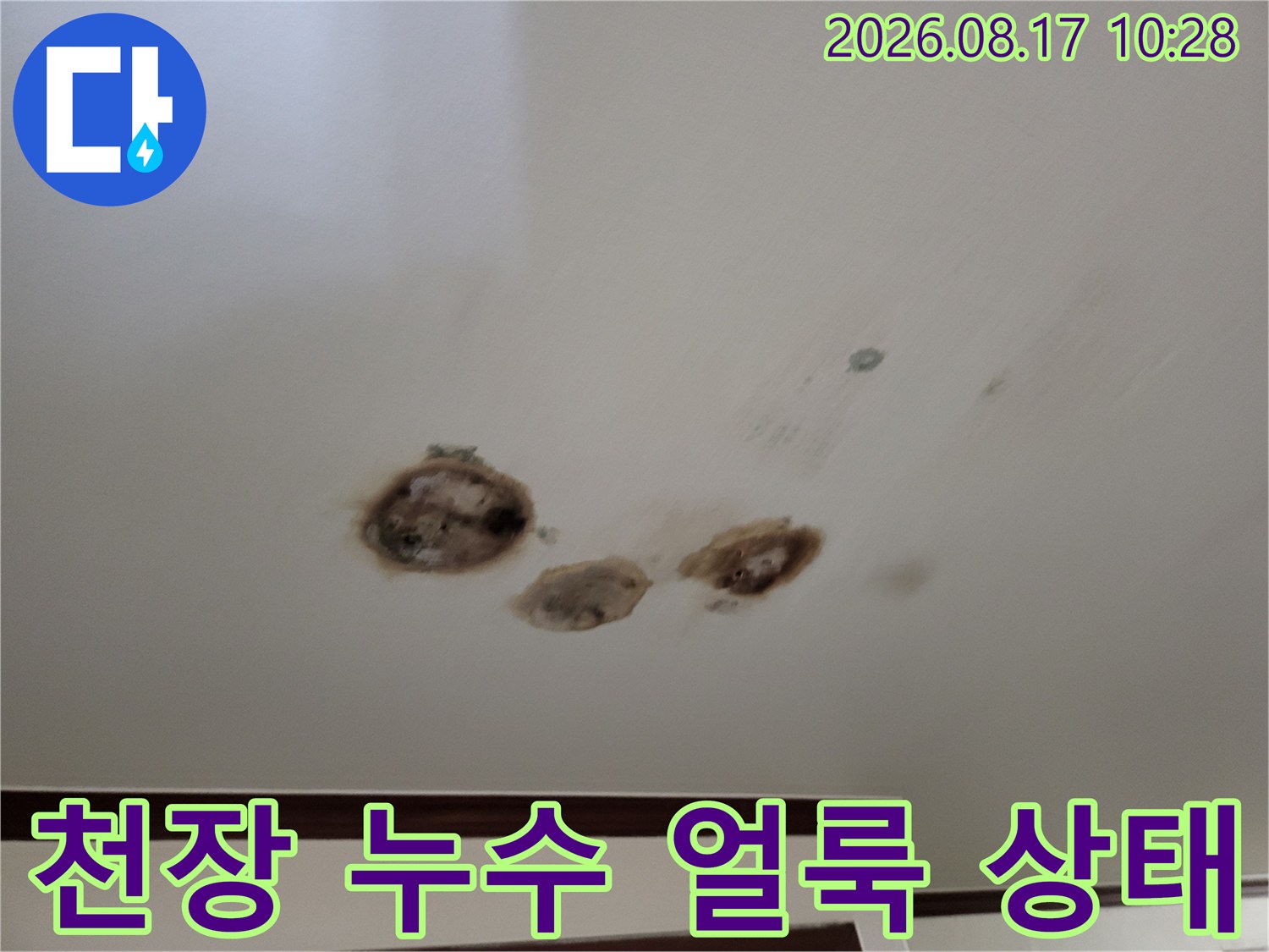 수원 장안구 영화동 다세대 주택 - 천장 곳곳에 발생한 젖은 흔적과 변색된 누수 피해 부위