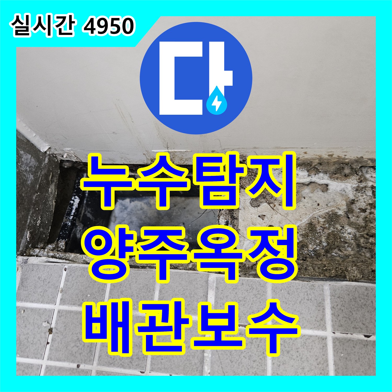 누수탐지 화장실 유가 배관 결함과 방수층 훼손을 정밀하게 보수한 사례 경기 양주시 옥정동