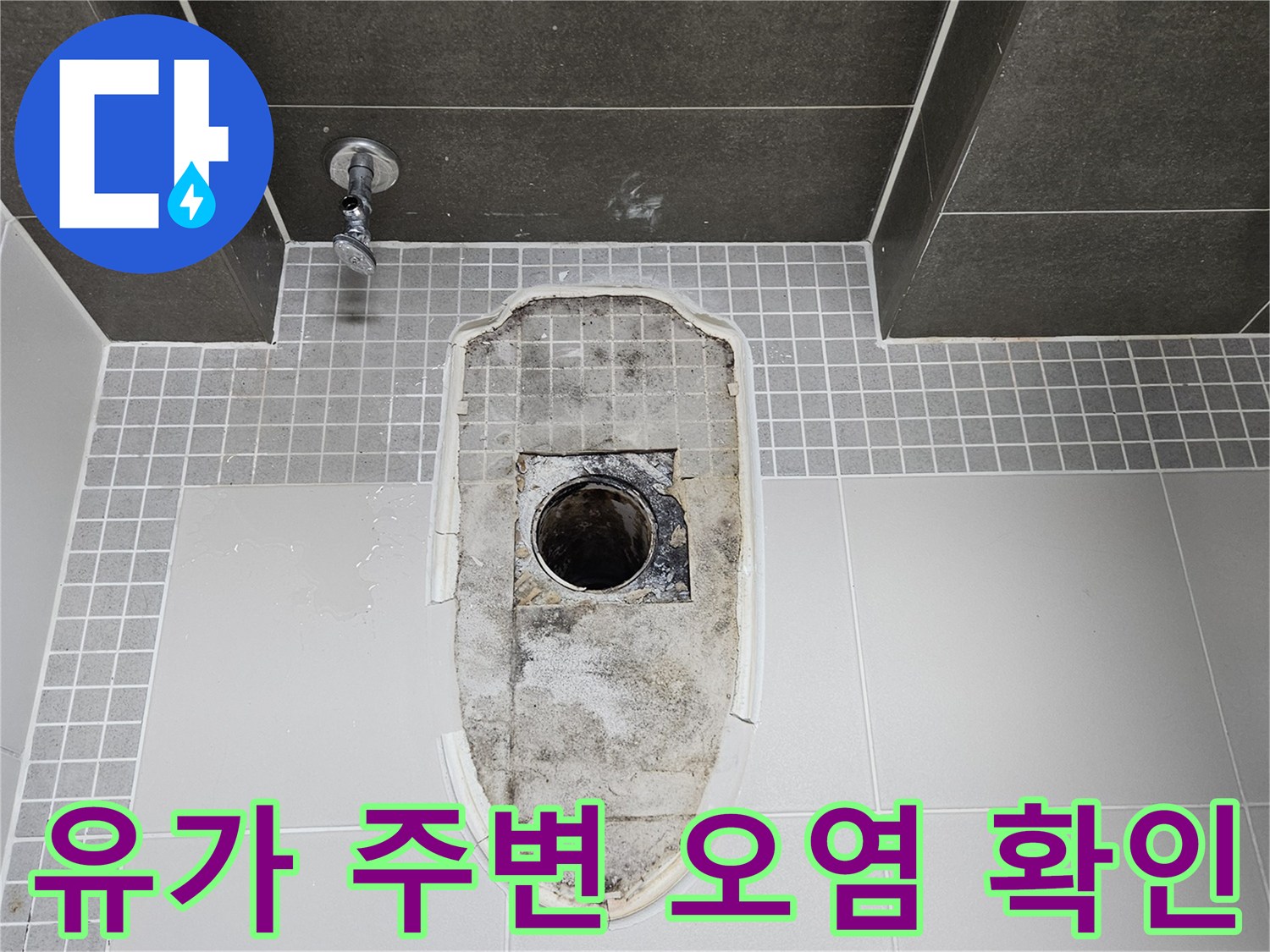 양주 옥정동 화장실-배수 트랩 주변의 심한 물때와 오염