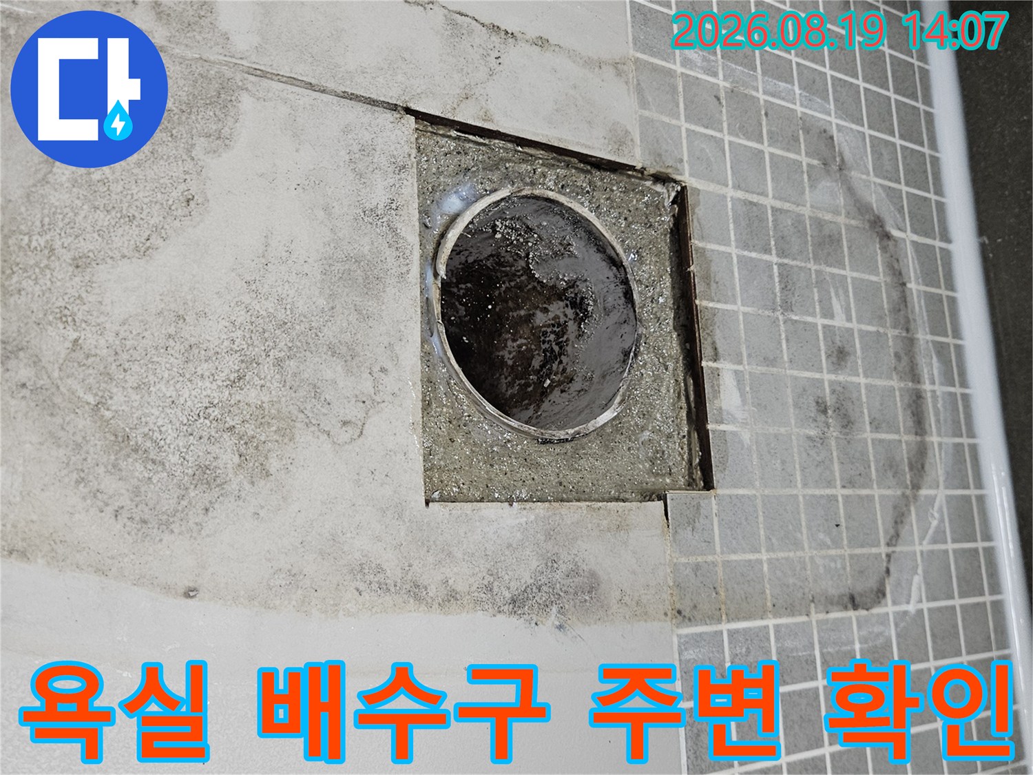 양주 옥정동 화장실-배수구 주변 타일과 배관 상태를 점검하는 모습