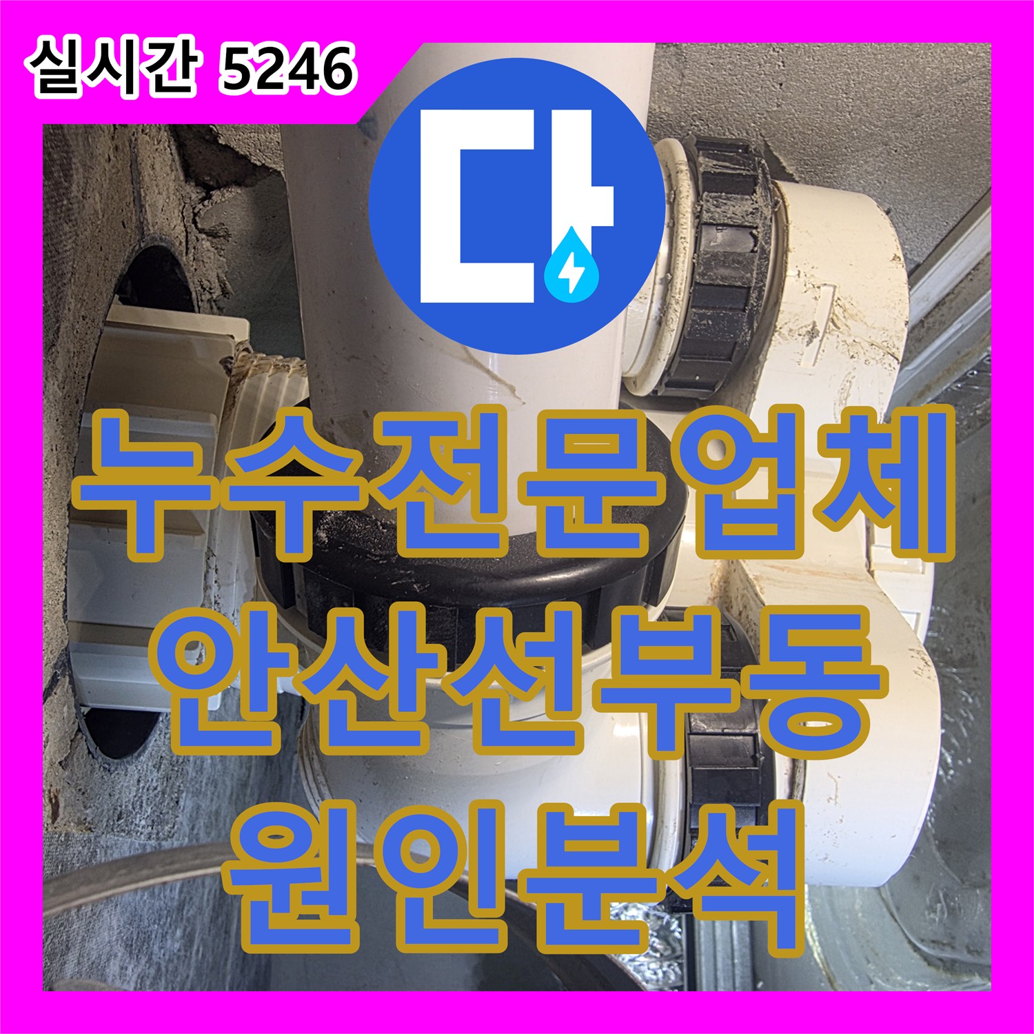 누수전문업체 아래층 욕실 천장 누수 지점을 찾기 위한 배관 및 방수 진단 경기 안산시 단원구 선부동
