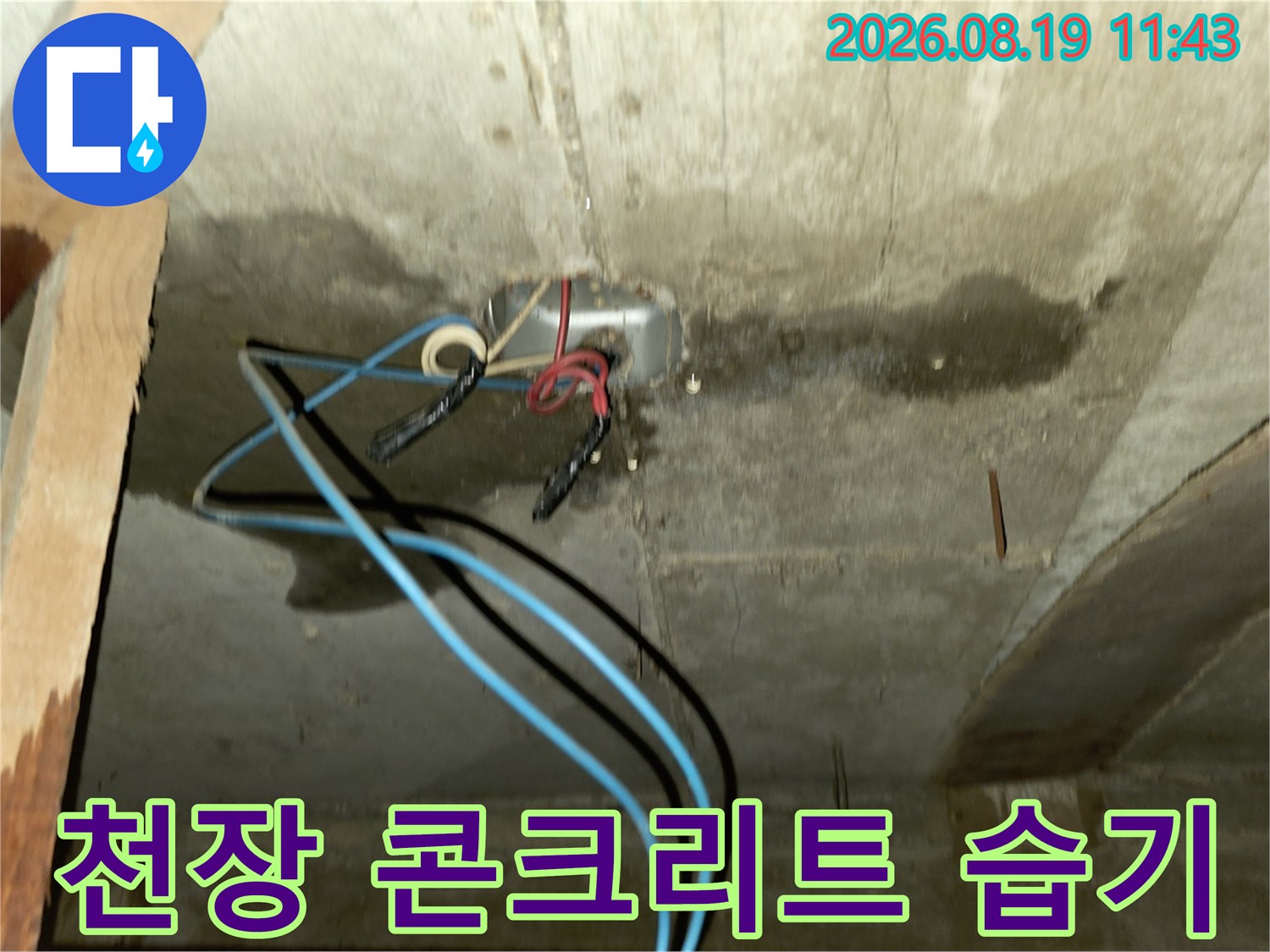 축축하게 젖은 천장-배관 주변의 누수 흔적과 얼룩진 콘크리트