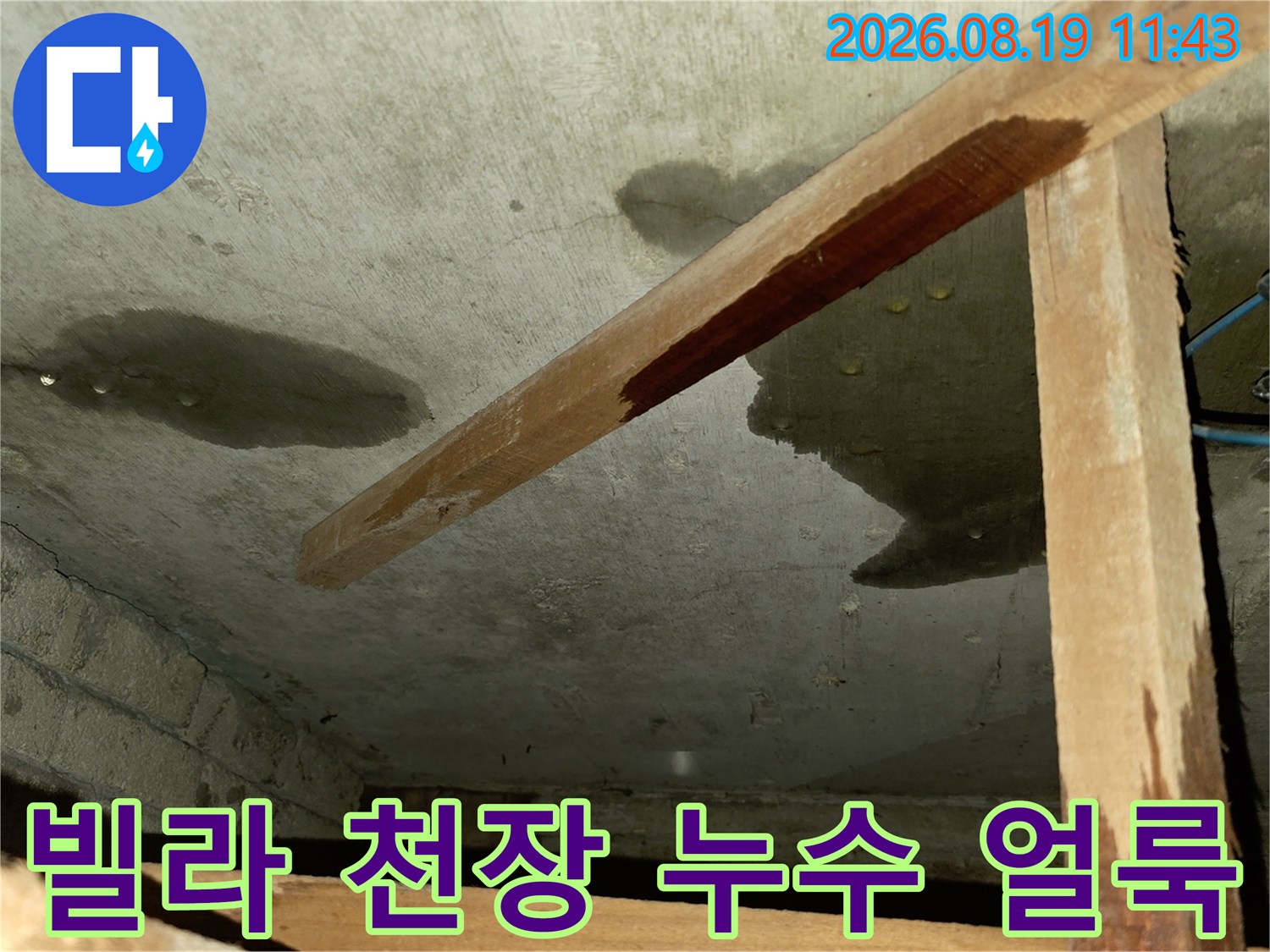 포천 신읍동 빌라 욕실 천장에 발생한 넓은 누수 흔적과 습기 상태