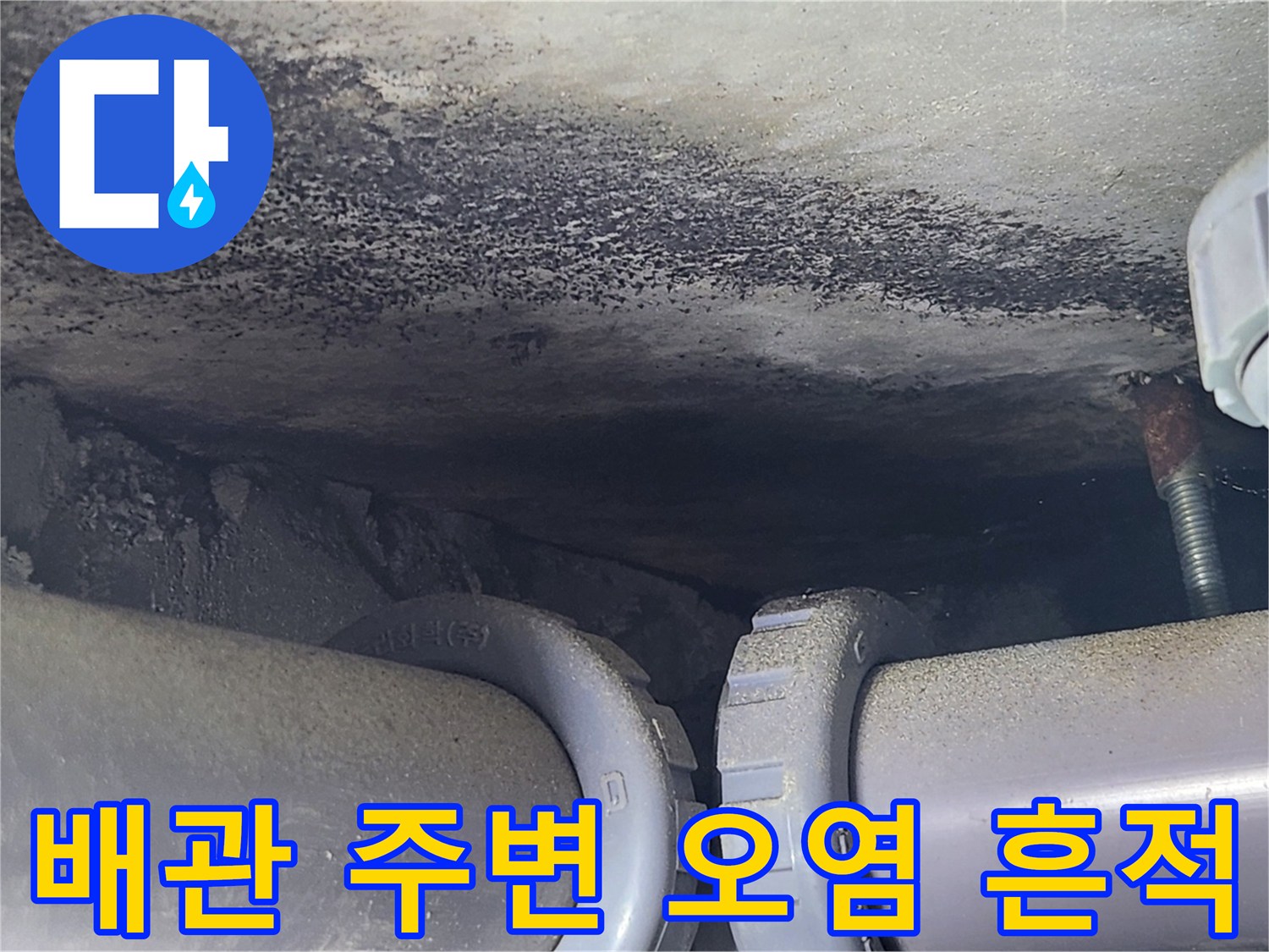 욕실 천장 배관-주변에 발생한 검은색 및 갈색의 습기 얼룩