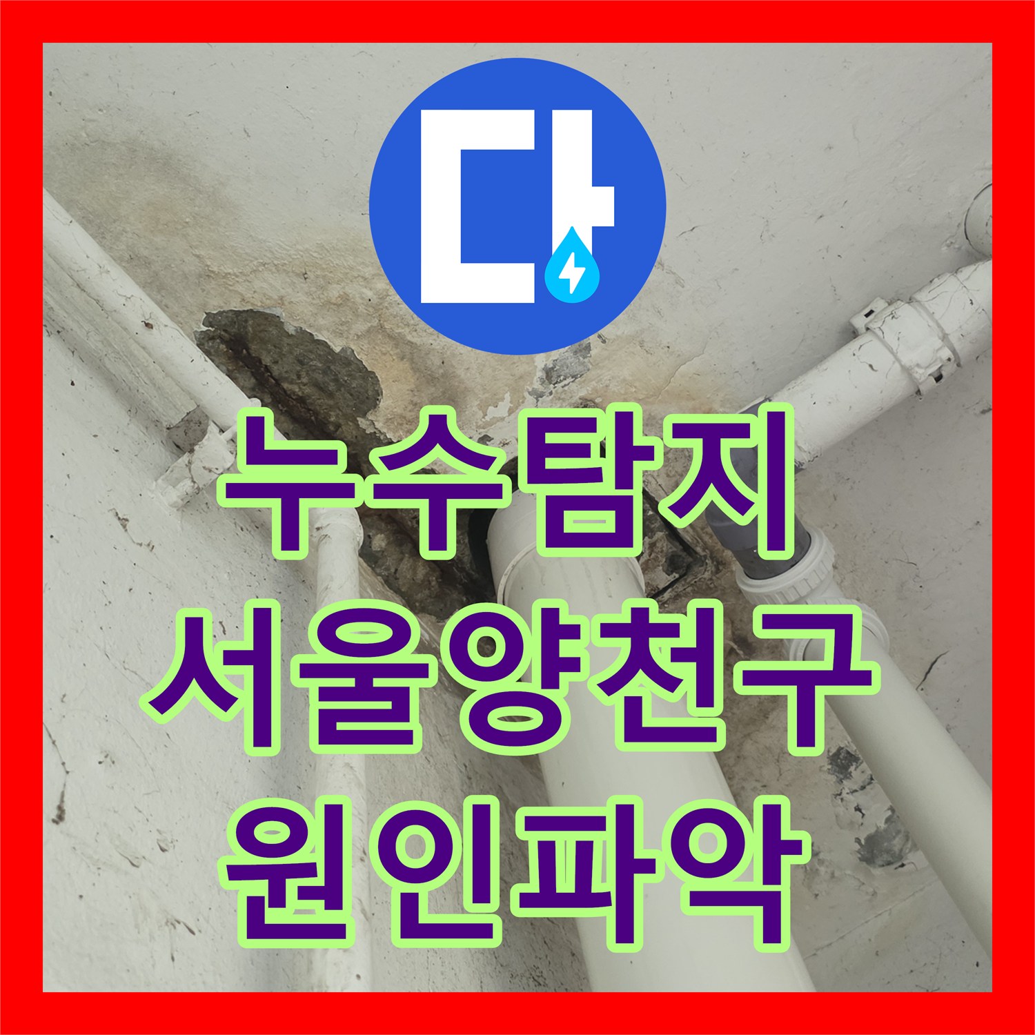 누수탐지 우수관과 싱크대 배관 복합 누수를 정밀 진단한 서울 양천구 신월동 현장