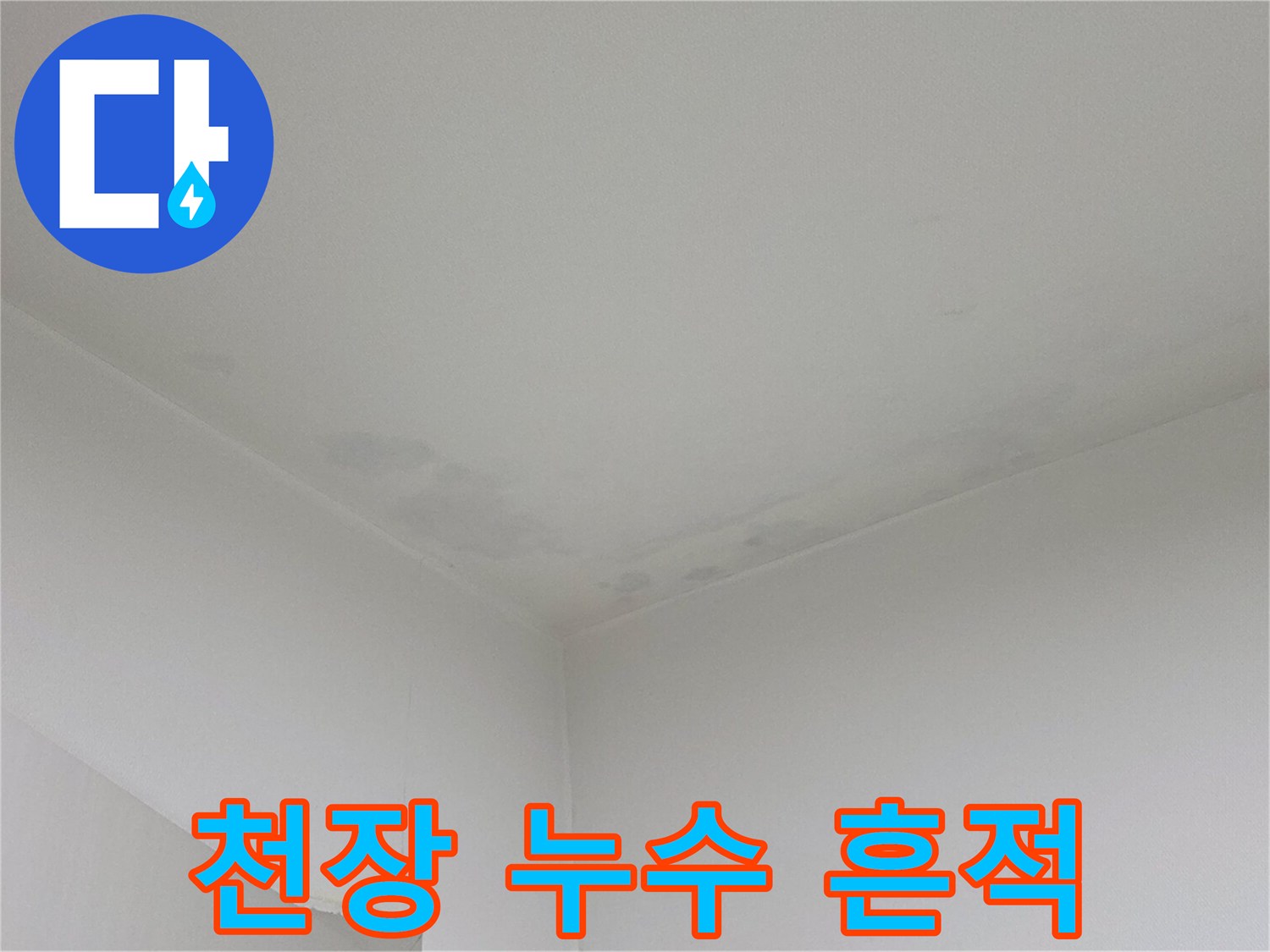 천장 도배지가 젖어 어둡게 변한 모습