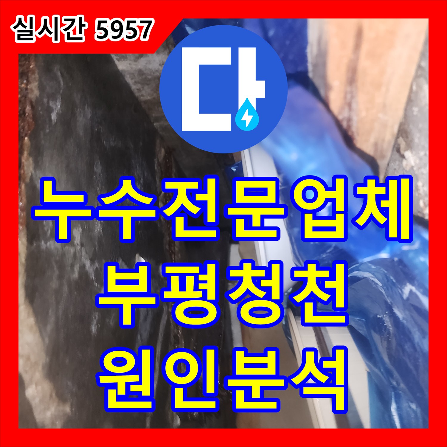누수전문업체 지하 상가 천장 누수의 원인을 찾기 위해 비트실 점검과 세대별 공압 검사를 실시한 인천 부평구 청천동 사례