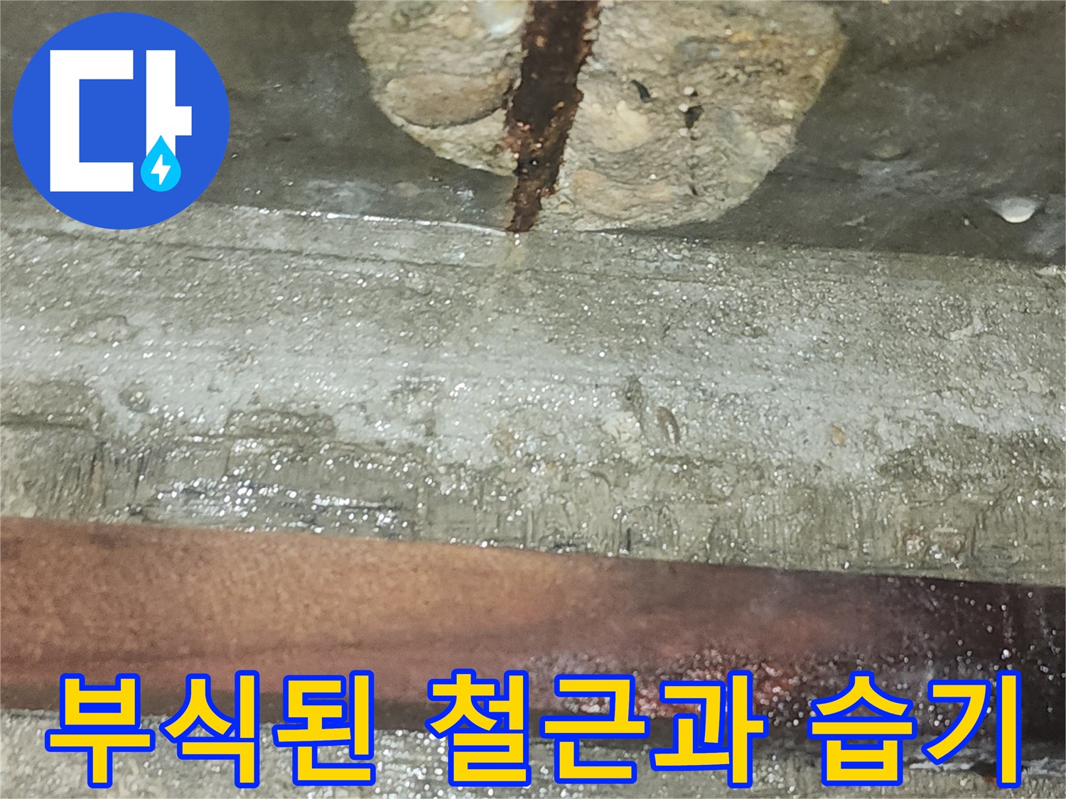 비트실-내부의-부식된-철근과-젖어있는-벽면 상태