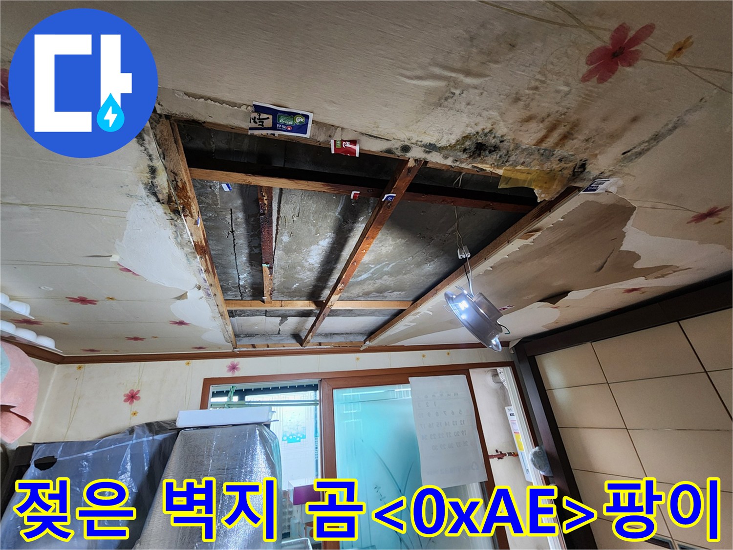 물에 젖어 변색되고 곰팡이가 발생한 천장 마감재 상세 사진