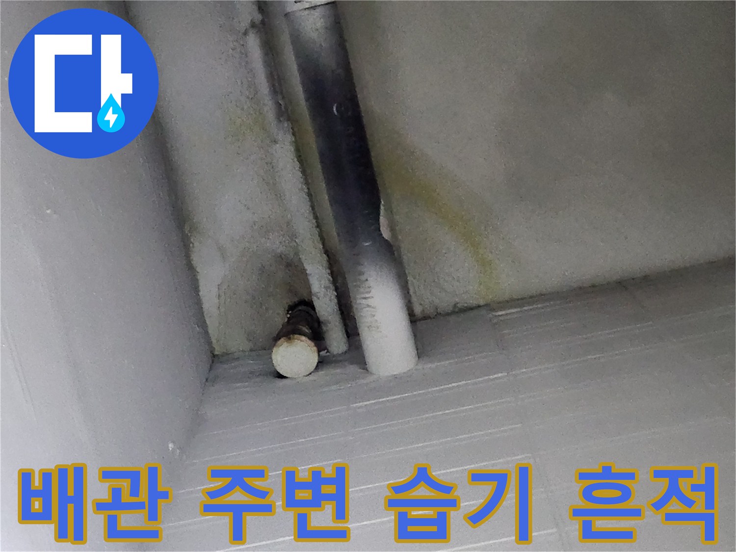 하얀색 배관 주위에 발생한 물때와 곰팡이 흔적을 보여줍니다.