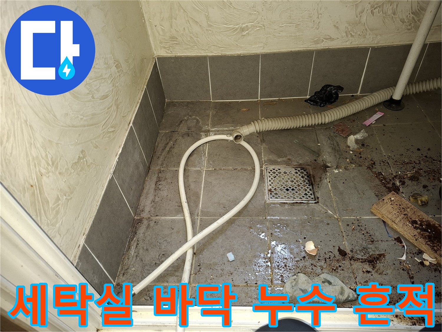 물기가 스며든 세탁실 타일과 오염된 배수구 주변의 모습