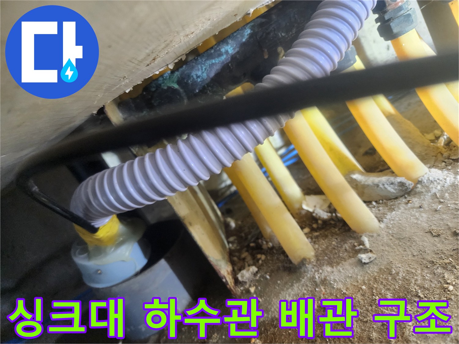 복잡하게 얽힌 싱크대 아래쪽 노란색 하수관과 보라색 주름관 모습입니다.