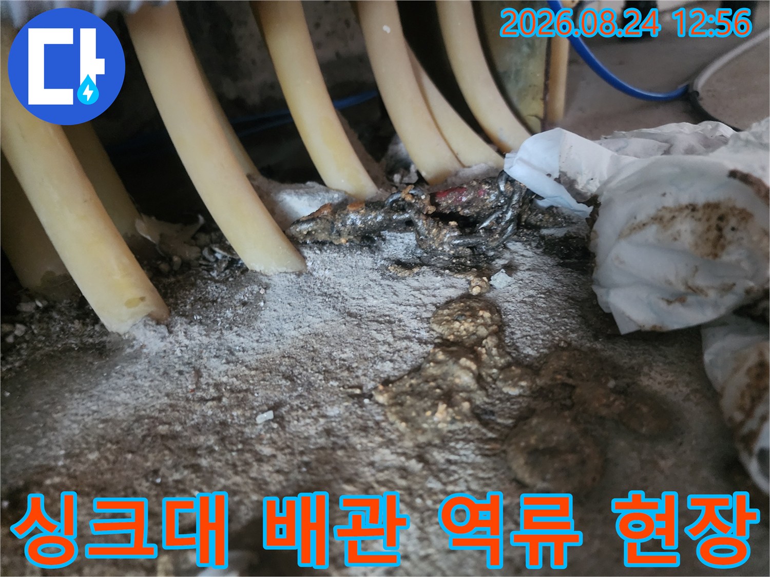 용인 기흥구-싱크대 하부 배관 주변의 이물질과 습기 상태
