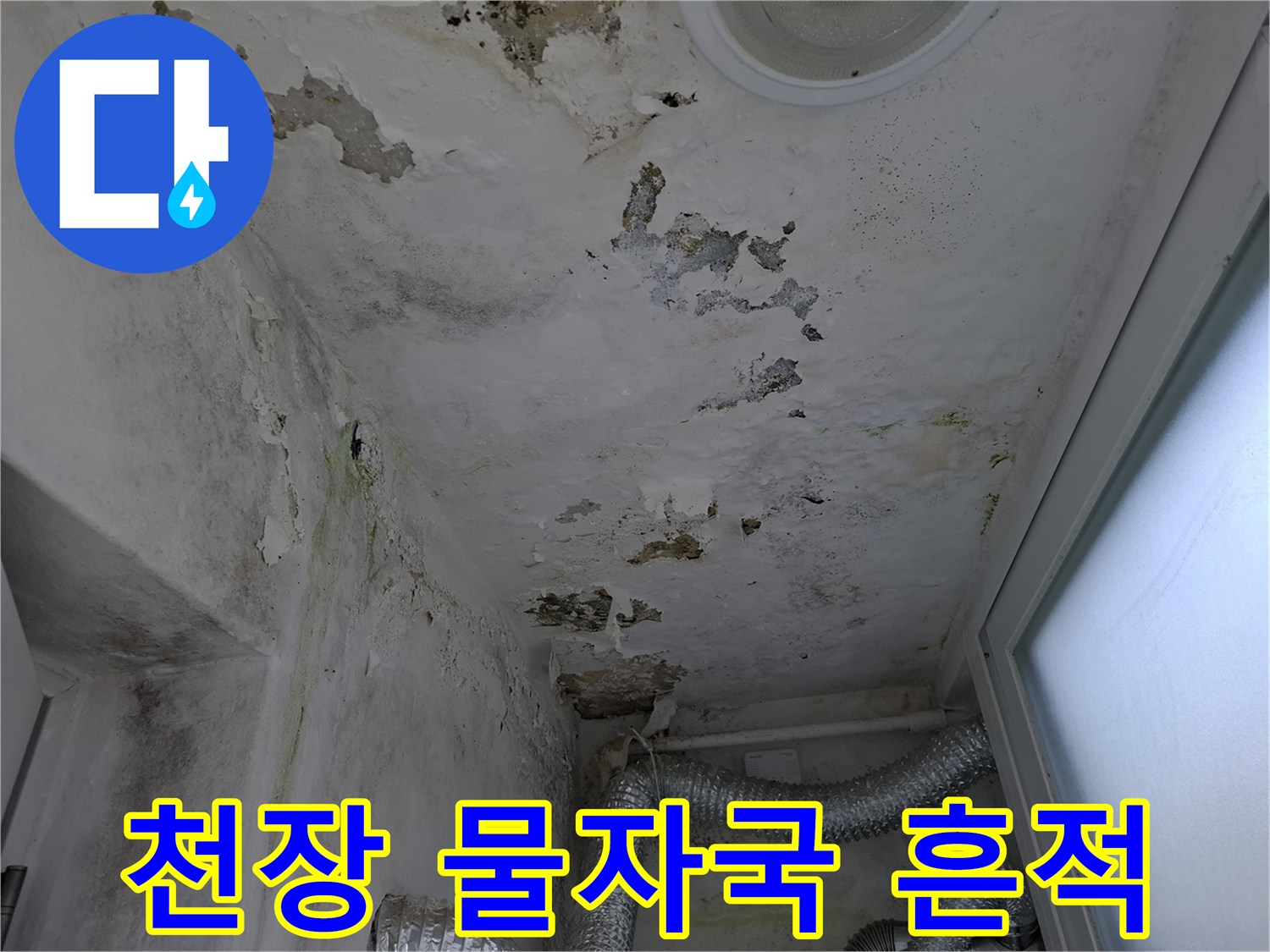 물샘으로 인해 발생한 천장의 변색된 흔적과 곰팡이