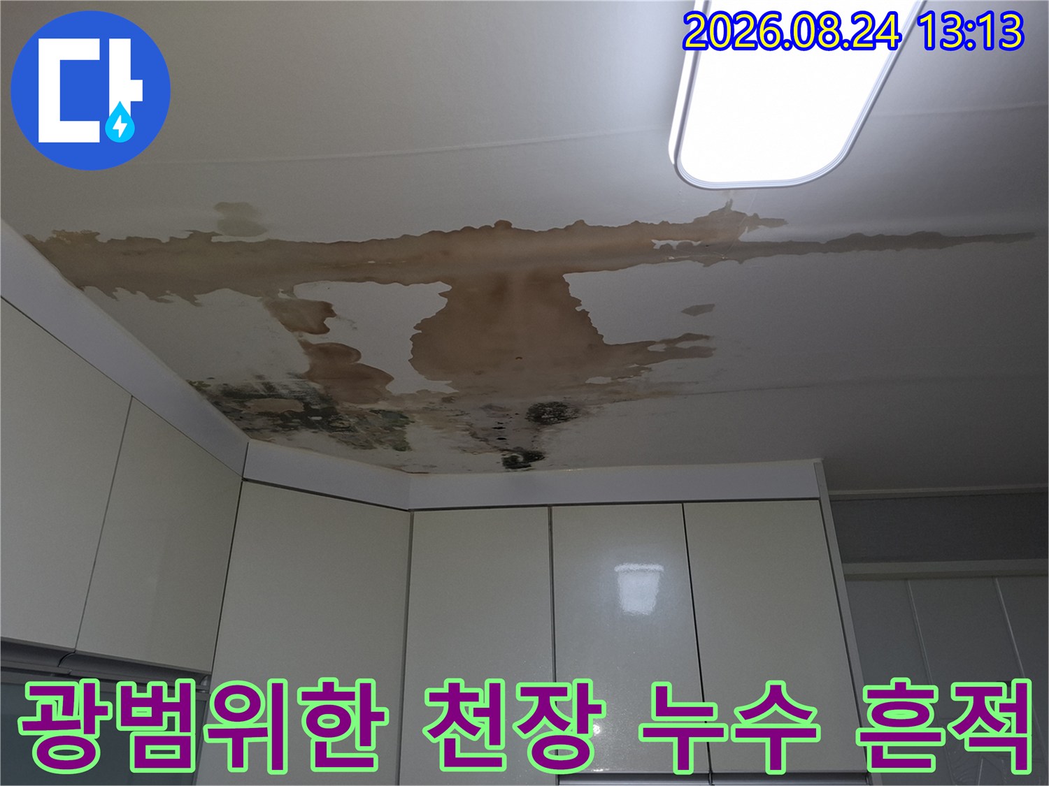 주방 천장 중앙부터 넓게 퍼진 갈색 누수 얼룩과 곰팡이