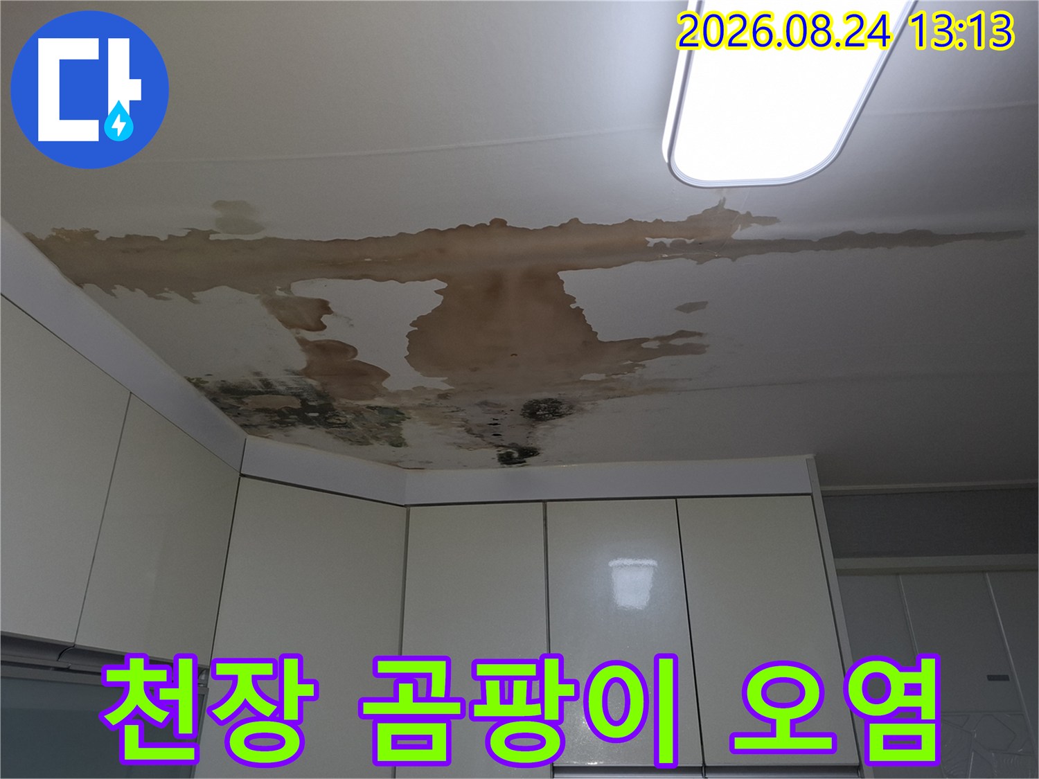 천장 마감재를 따라 번진 누수 흔적과 검은 곰팡이 발생 부위