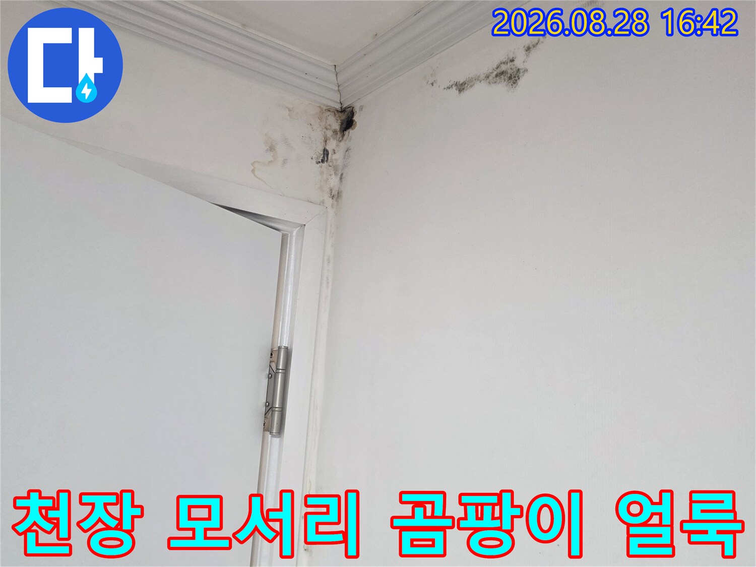 천장과 벽면 경계에 발생한 곰팡이와 습기 흔적