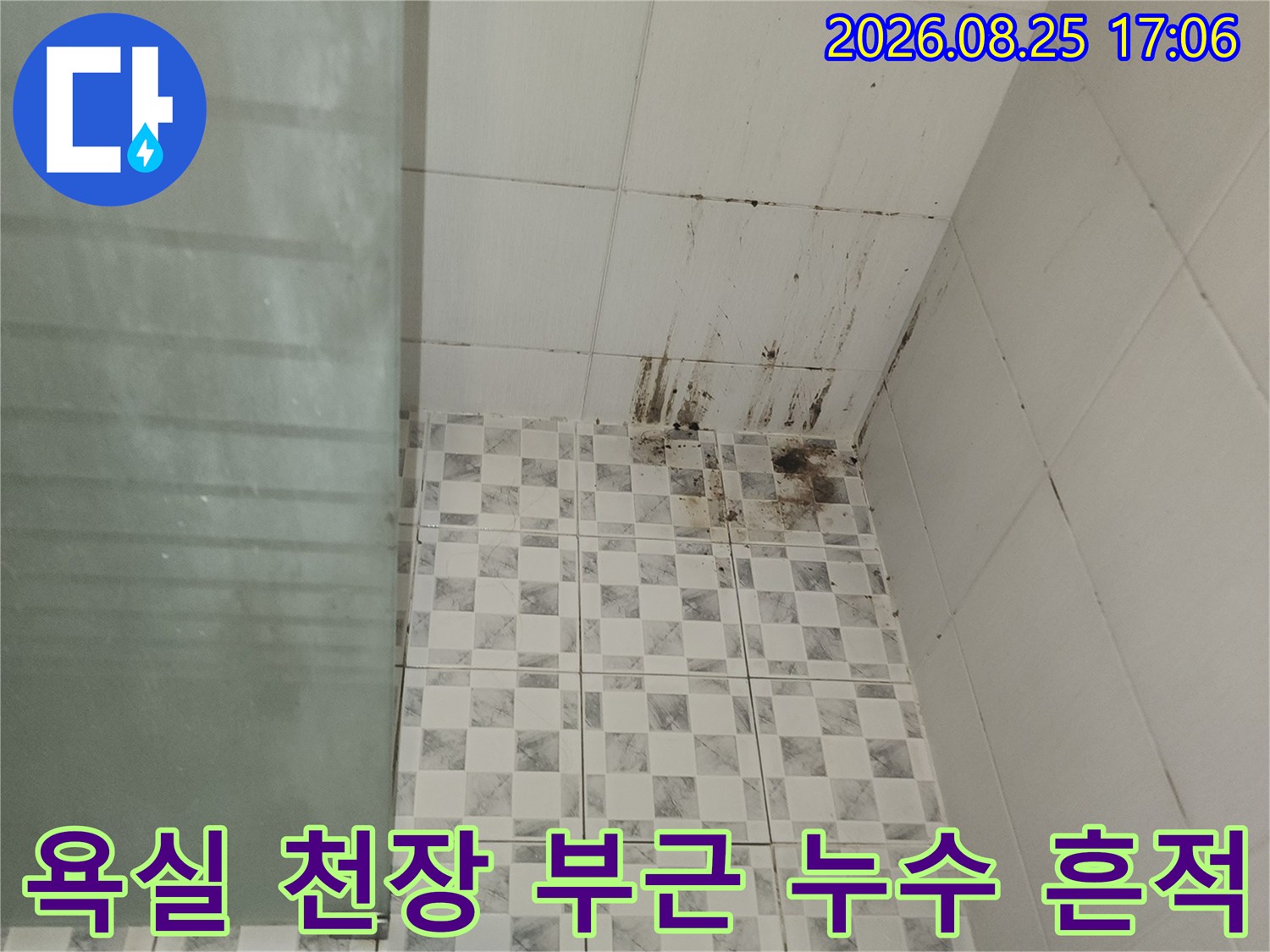 화장실 벽면 상단 타일 사이의 곰팡이와 물자국 현장 사진