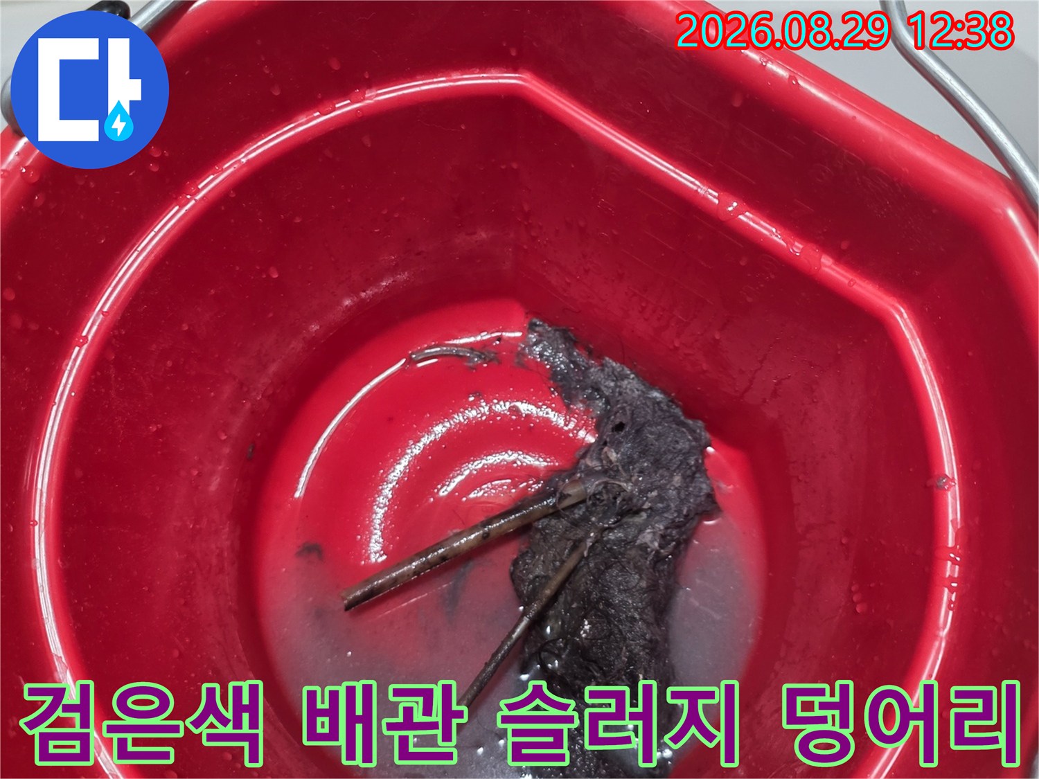 배수관에서 수거된 검고 커다란 오물 및 슬러지 퇴적물