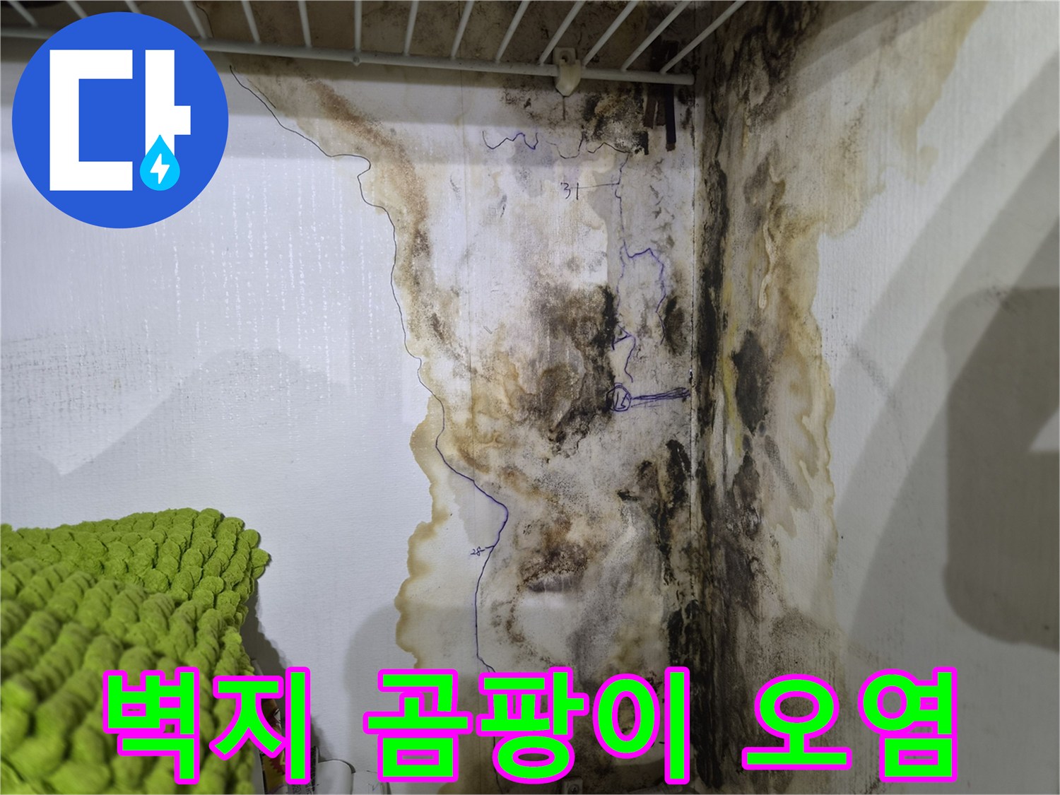 심하게 변색된 벽면과 곰팡이-누수 발생 현장 상황