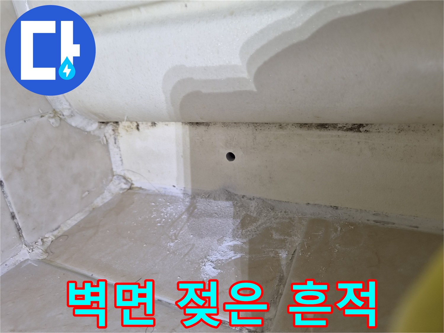 타일 줄눈 사이로 번진 습기와 곰팡이 오염