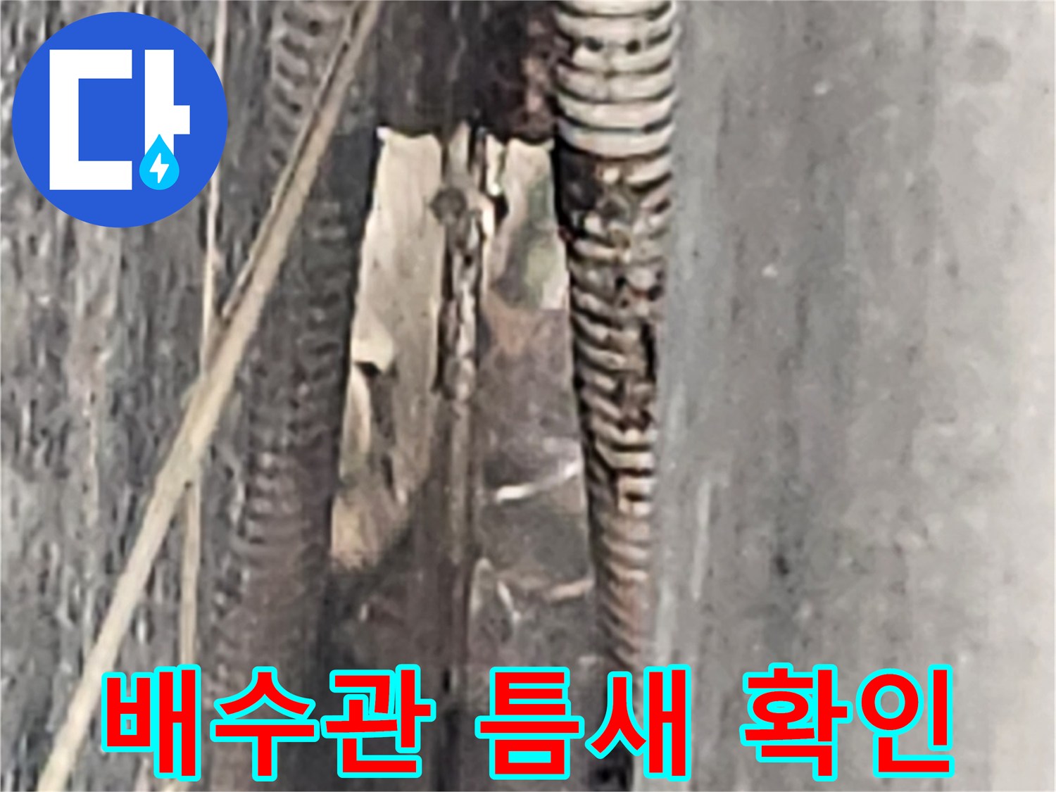 드레인-배관-주변-아스패트-틈새-물고임-상태