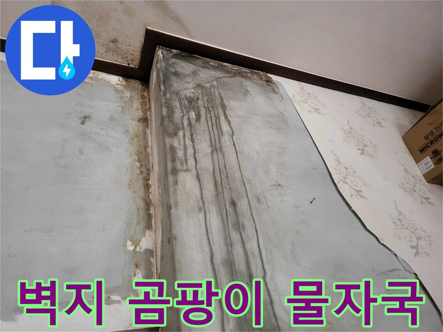 보령 남포면 현장의-벽지 곰팡이와 물자국 상태