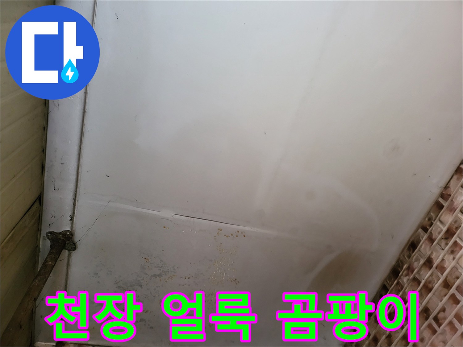 보령 남포면 현장의 천장 벽지 얼룩과 곰팡이 상태
