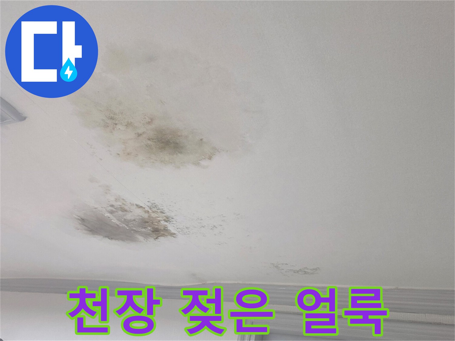 거실 천장에 발생한 광범위한 누수 흔적과 곰팡이 오염