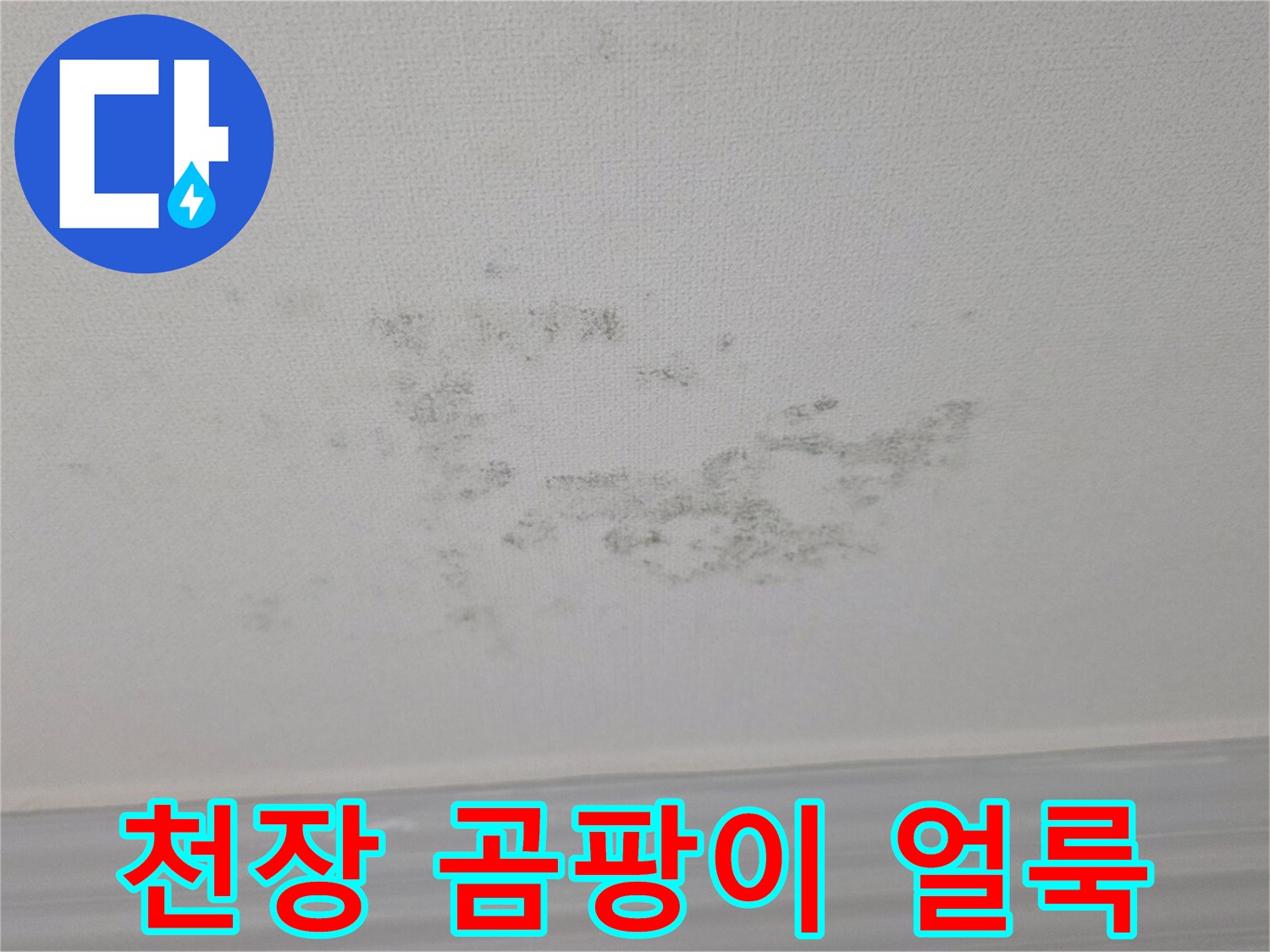 거실 천장에 발생한 넓은 범위의 곰팡이와 물자국