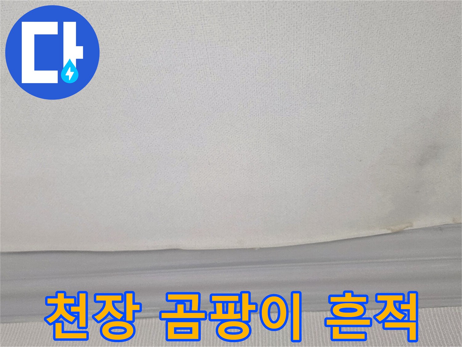 물기에 의해 변색되고 곰팡이가 발생한 거실 천장 벽지 상세 모습