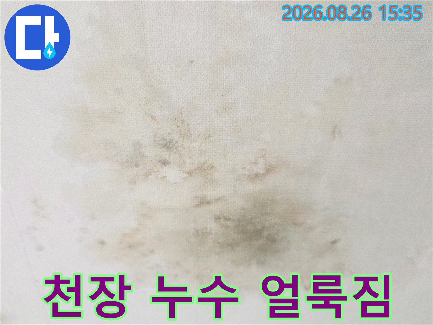 습기가 스며들어 넓게 변색된 천장 벽지의 곰팡이 흔적