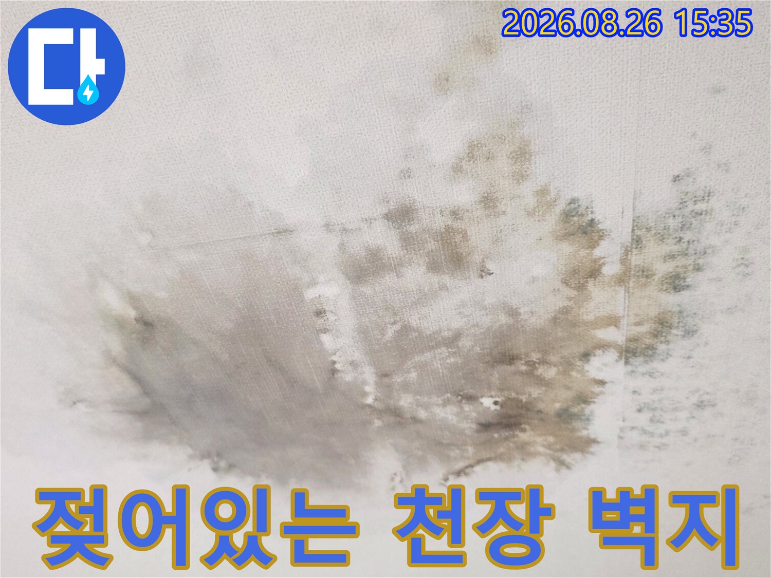 천장 마감재 전체에 퍼진 눅눅한 습기와 누수 흔적 부위