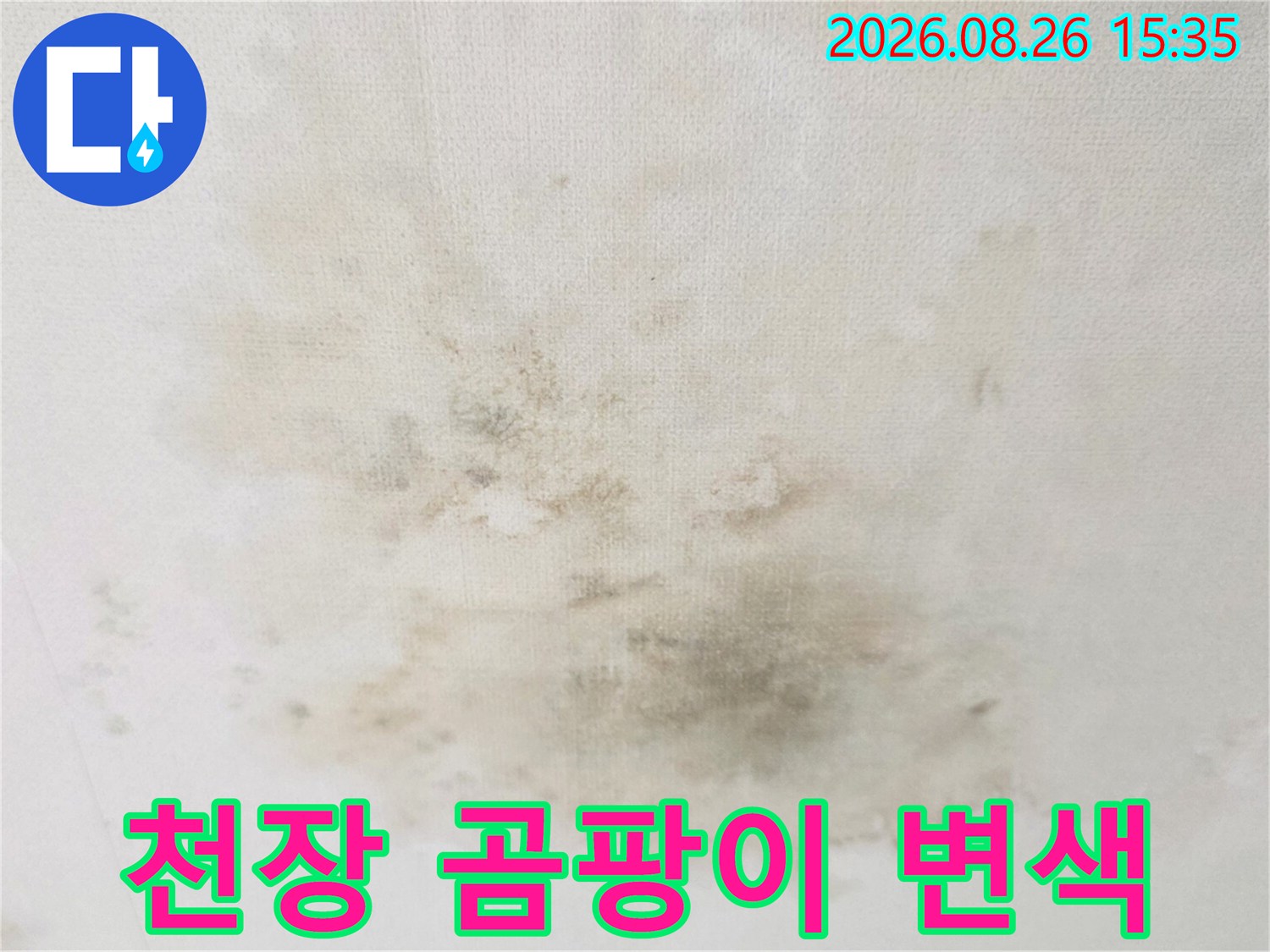 천장 벽면 전체로 번진 누수 습기 및 곰팡이 오염 부위