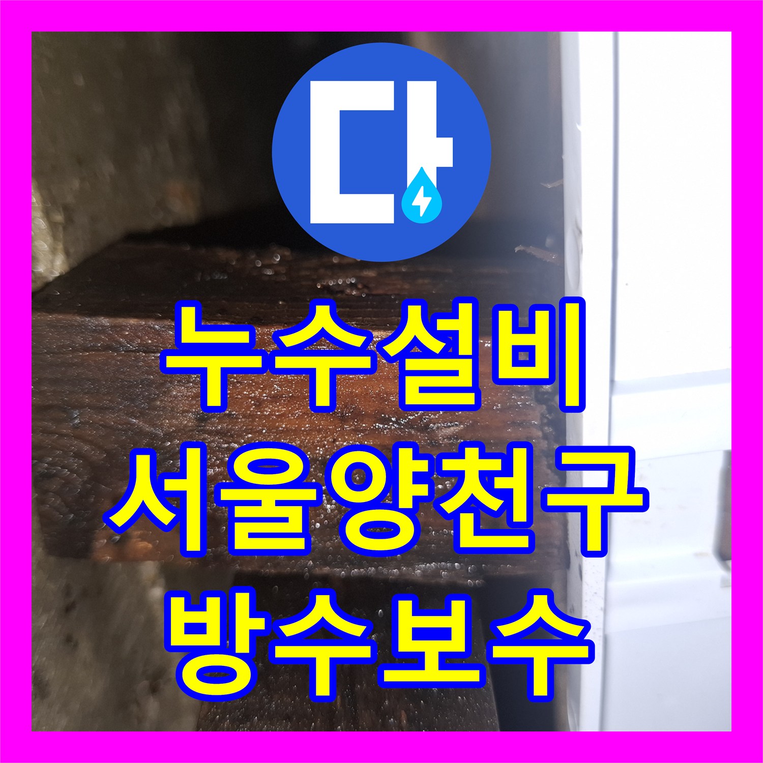 누수설비 노후 빌라 외벽 유입과 방수 결함을 정밀 진단한 서울 양천구 목동 현장