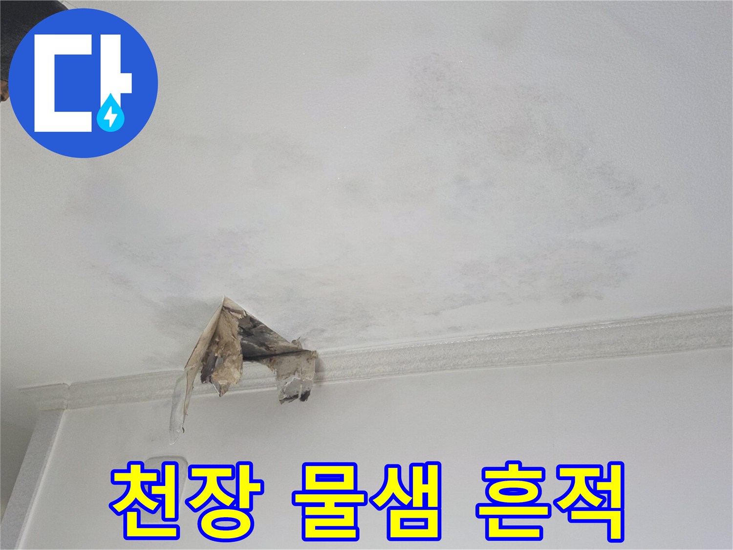 광명 하안동 아파트 천장에 발생한 누수 얼룩과 젖은 부위