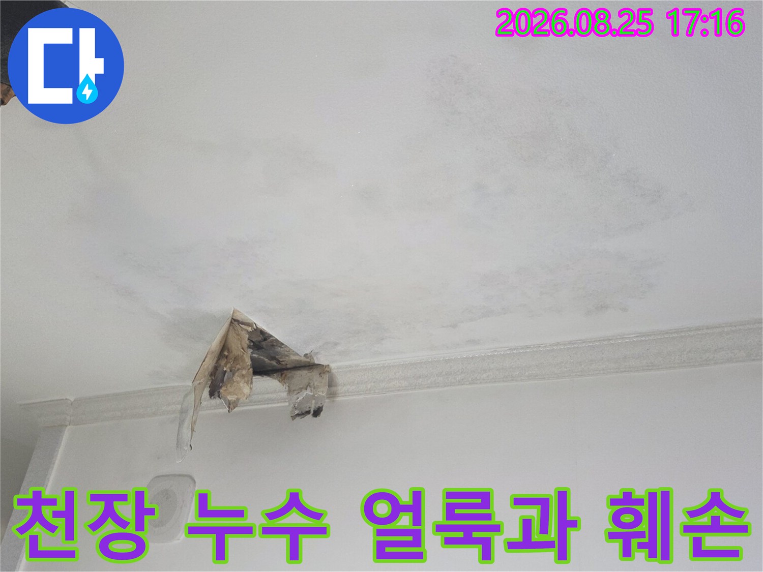 광명 하안동 현장의 물에 젖어 변색된 천장 마감재 사진