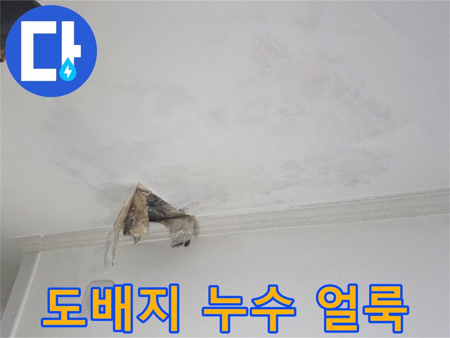 물기로 인해 변색되고 들뜬 천장 도배지 모습